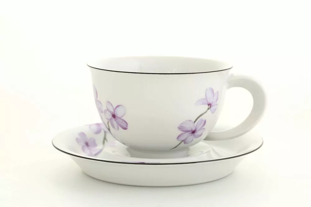 Чашка с блюдцем Чайная пара Артикул 52120411-310U